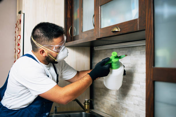 Trusted Casa Blanca, AZ Pest Control Experts