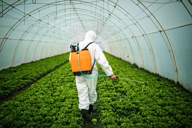 Best Pest Inspection Near Me  in Casa Blanca, AZ
