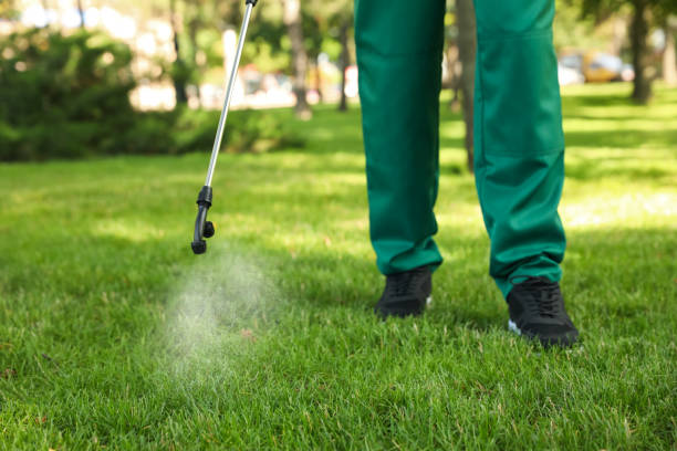 Best Exterminator Services  in Casa Blanca, AZ