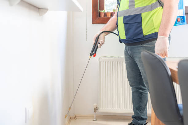 Best Local Pest Control Services  in Casa Blanca, AZ