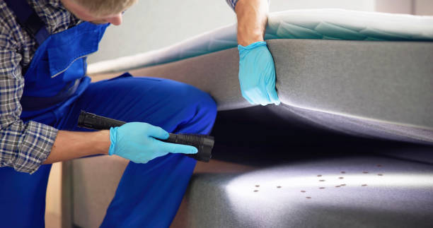 Best Cockroach Control Services  in Casa Blanca, AZ