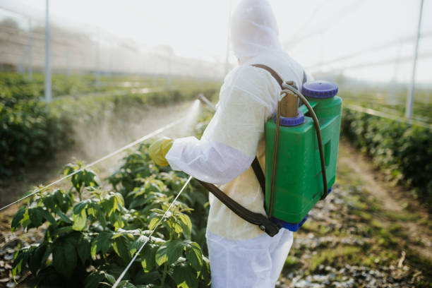  Casa Blanca, AZ Pest Control Pros